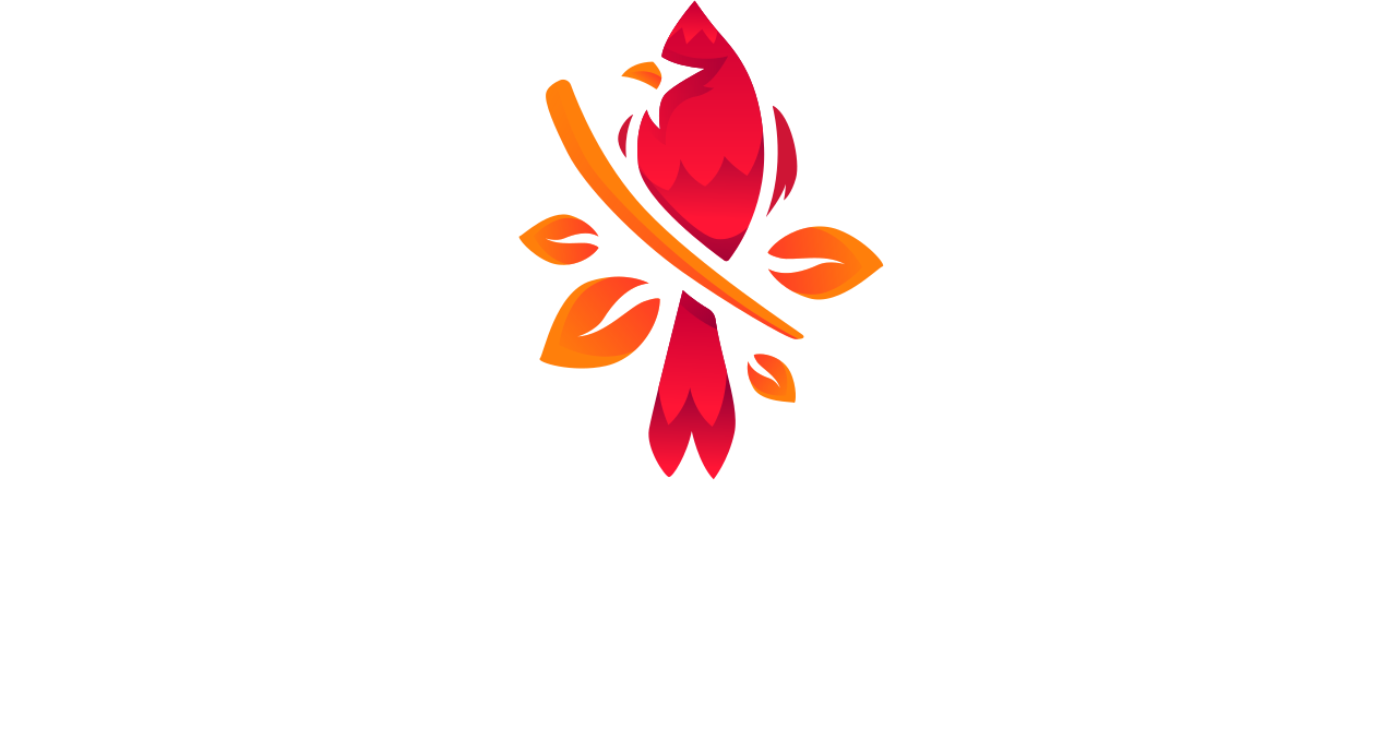 Red Bird Games — Indie Game Studio